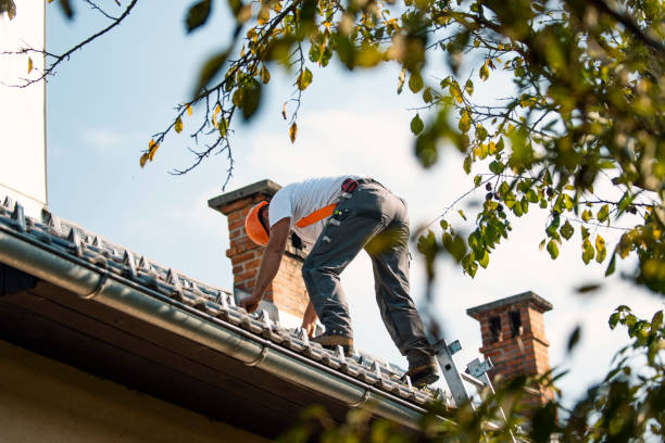 Professional Roofing Contractor in Russells Point, OH