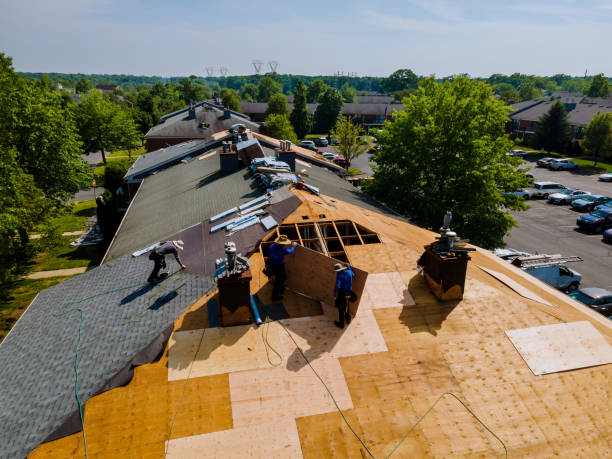Best Metal Roofing Contractor  in Russells Point, OH